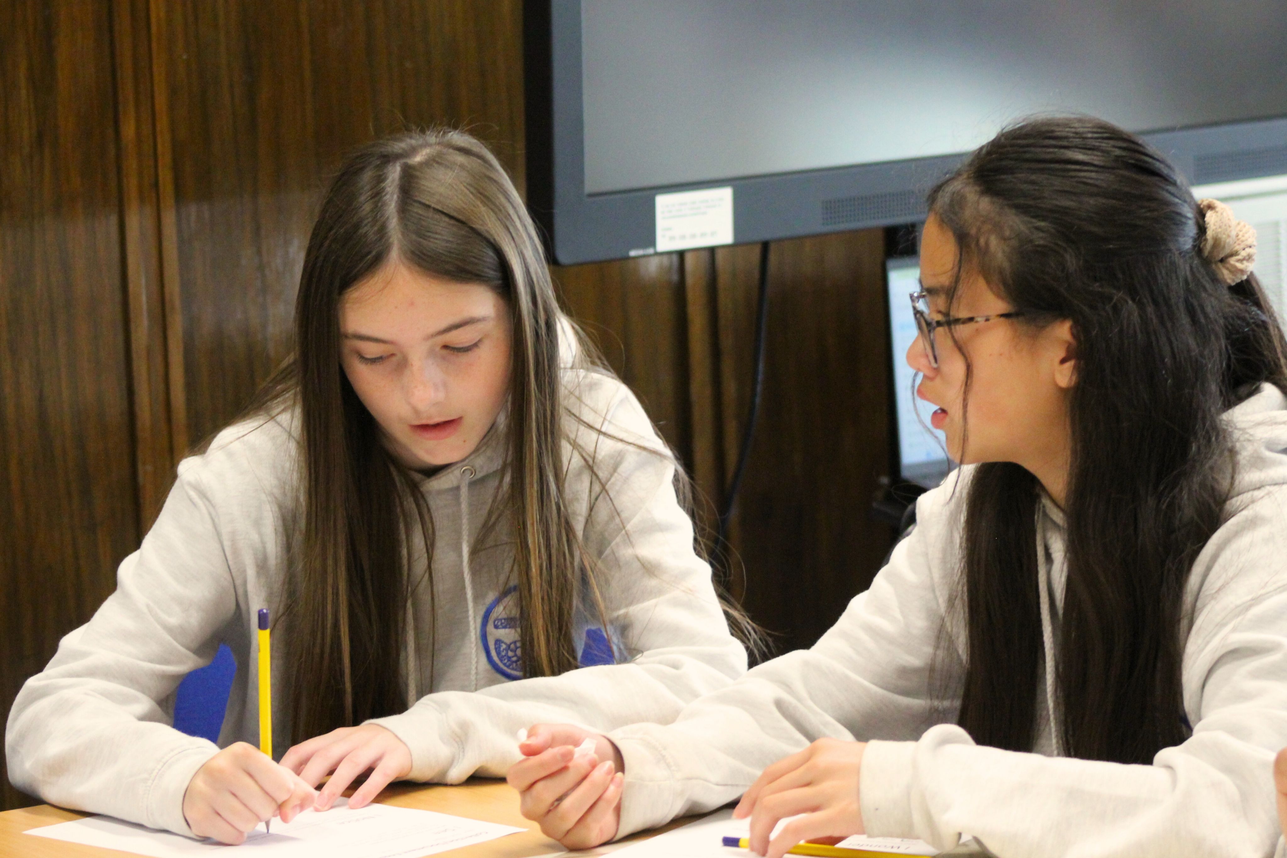 Two students in grey hoodies