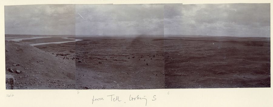 Photograph of Carchemish - Jerablus. From Tell, looking S [View across plain and Euphrates river, cattle in foreground] 