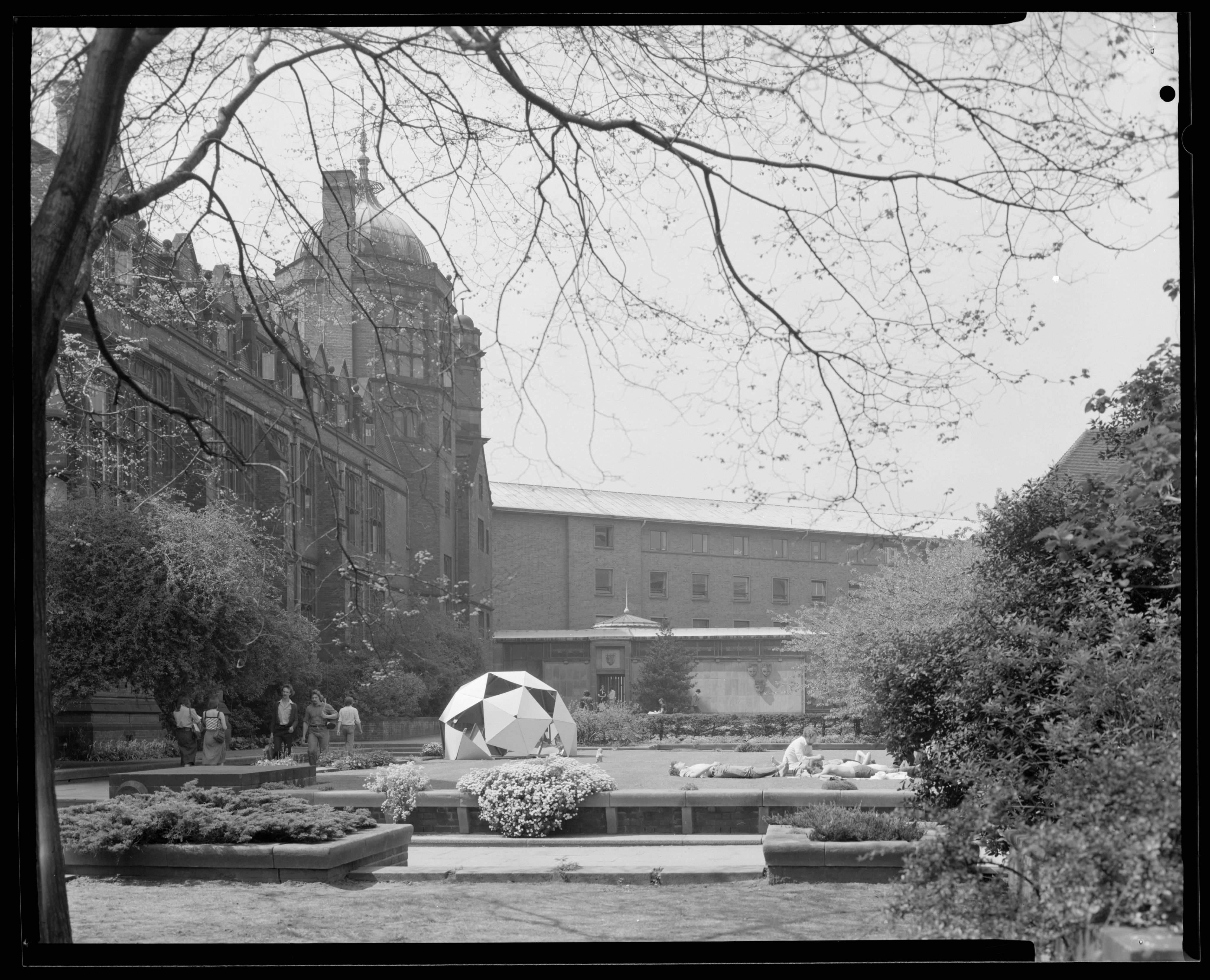 Photograph of the Quadrangle in summer, 1979. NUA/K/124059/02.