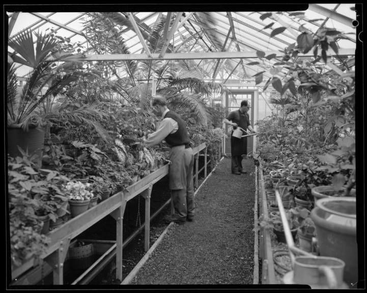 Photograph of Moorbank Botanic Gardens, opens 1966. NUA/K/043192/004