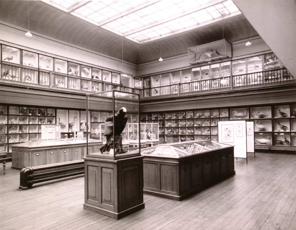 A room with glass cases and shelves.