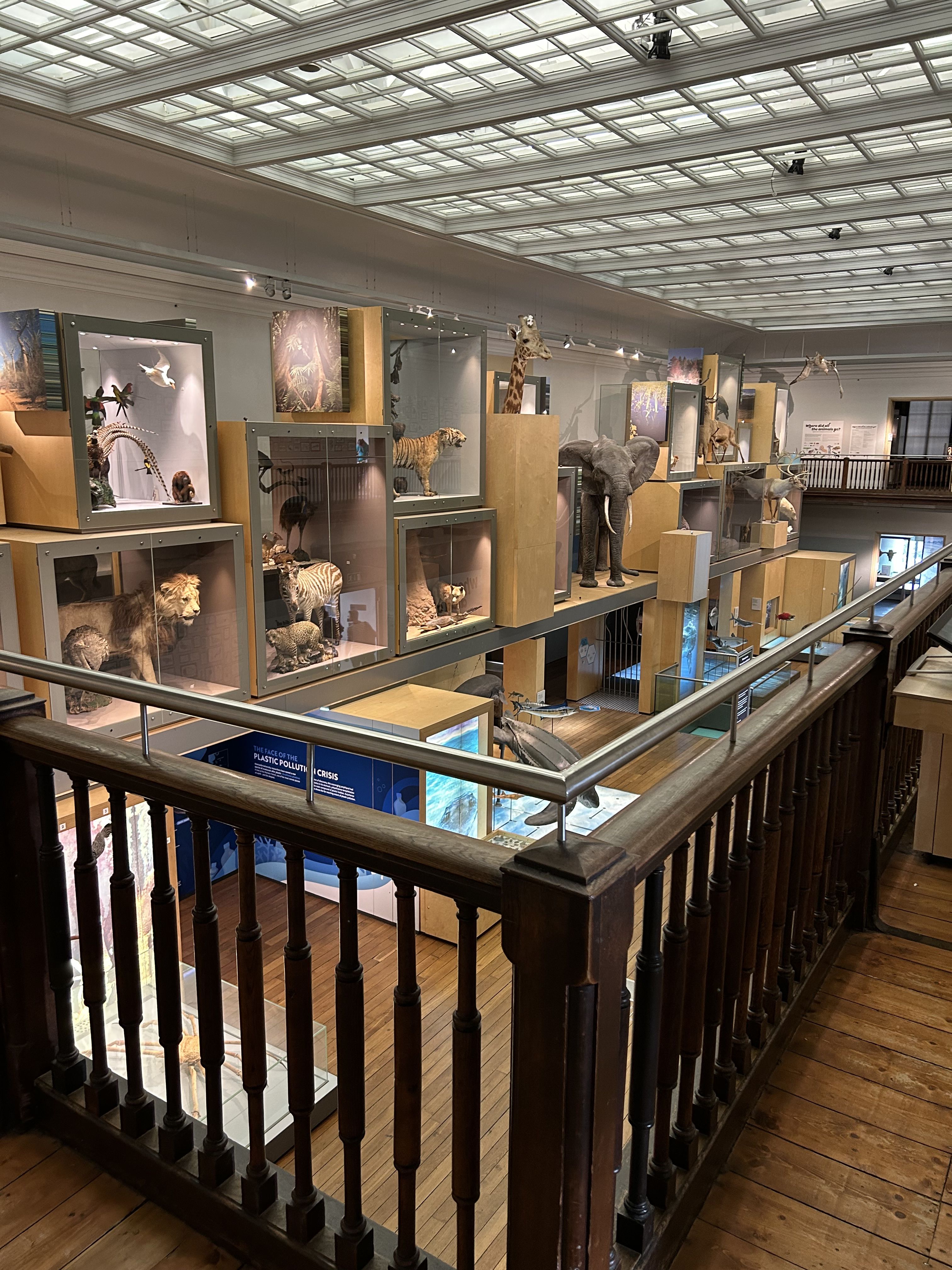 Display cases of animals on a wall.