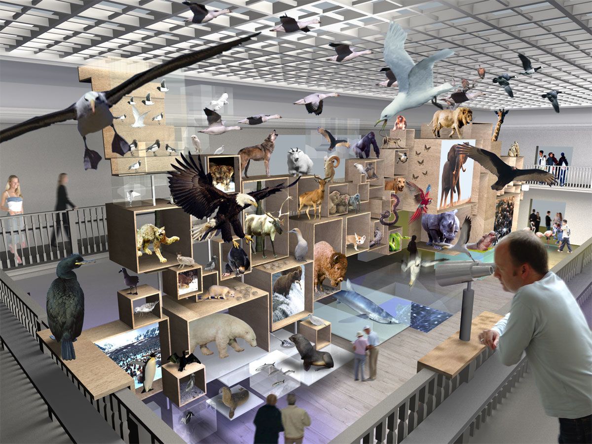 A person looking at a display of animals.